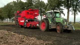 Dewulf R2060 2row trailed potato harvester [upl. by Zellner355]