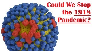 Could the 1918 Influenza Pandemic Happen Again [upl. by Marquardt]