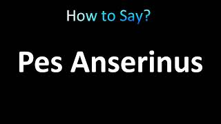 How to Pronounce Pes Anserinus correctly [upl. by Terrej]