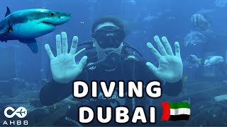 Diving nel GRANDE Acquario di Dubai con gli squali [upl. by Ahsia]