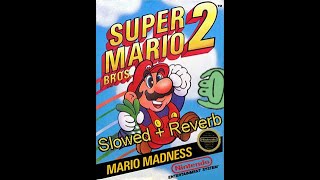 Super Mario Bros 2  Overworld Theme SlowedReverb [upl. by Sharman]