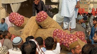 Afghani onion market price in Pakistan 🇵🇰 onion 🧅 [upl. by Hanej]