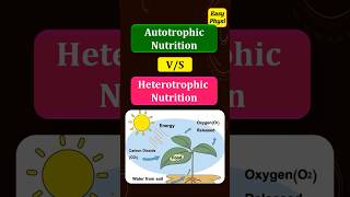 Autotrophic Nutrition vs Heterotrophic Nutrition Class 10 Chapter 1 [upl. by Obocaj]