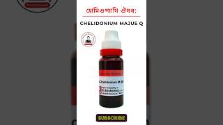 Chelidonium Majus homeopathic medicine চেলিডোনিয়াম হোমিওপ্যাথিক মেডিসিন হোমিও ঔষধ lycopodium 200 [upl. by Eilssel277]