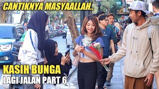 MASYAALLAH CANTIKNYA KASIH BUNGA CANTIK BIKIN BAPER PART 6 [upl. by Anotyal546]