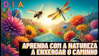 quotBíblia e Bússola Aprenda com a Natureza a Enxergar o Caminhoquot [upl. by Lemmuela354]