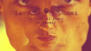 Carlas Dreams  Lacrimi si Pumni in Pereti SLOWED amp REVERBED [upl. by Nosyrb]