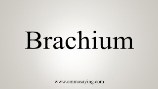 How To Say Brachium [upl. by Netsreik]