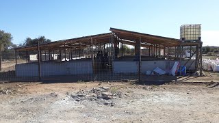 SEE How I Built OLIVE MOUNTAIN PIGGERY From Scratch [upl. by Ayenat]