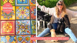 THE KITCHEN REDO BEGINS WITH PUPPY INTERLUDES  The Positano Diaries EP 165 [upl. by Aniahs]