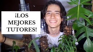 TODO sobre los TUTORES para PLANTAS TREPADORAS  GREENFISHROOM [upl. by Jocelyne569]