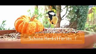 Schöne Herbstferien [upl. by Alvord]