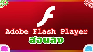 สอนลง Adobe Flash Player คืออะไร ทำอะไรได้ [upl. by Drape352]