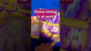 Divine time tarot fortunecards fortunetelling [upl. by Htebizile]