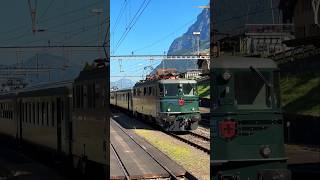 🚂Zeitreise auf Schienen Die Ae 66 11411 zieht den Extrazug über den Gotthard bei AmstegSilenen📯 [upl. by Anitsyrhc]