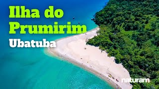 Ilha do Prumirim UBATUBA Como chegar de lancha para curtir a incrível praia da Ilha do Prumirim [upl. by Nwahsd925]