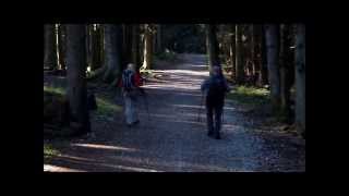 Hiking tour Zwiesel Bavaria [upl. by Ahras150]