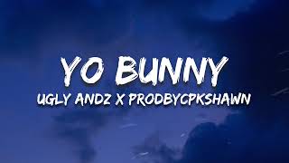 Yo Bunny  Ugly Andz x Prodbycpkshawn Lyrics [upl. by Alicec]