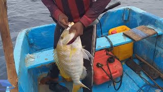 Fishing Catching 90 Meters Of Water  AMAZING FISHERMEN HANDLINE FISHING Indian Ocean [upl. by Guildroy551]