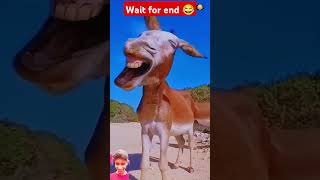 Sem sem 😂 comedy ajaypop funny fun memes abcvlogs ajaypoper realfools shortvideo ajaypoper [upl. by Seymour]