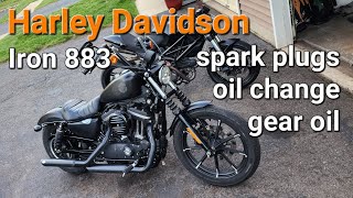 2021 Harley Davidson Iron 883 basic maintenance tune up [upl. by Gnauq]