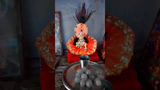 Laddu gopal ji shorts viral song [upl. by Inatirb855]