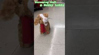 Screaming Goat  Hobby Lobby [upl. by Laertnom827]