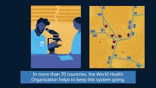 WHO The Polio Surveillance System Short version [upl. by Dray]