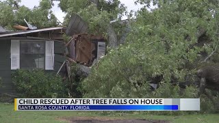 11yearold expected to be okay after tree falls on Santa Rosa Co home [upl. by Ordisy69]