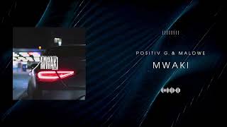 malowe POITIVE G  Mwaki Official Audio [upl. by Ennaylil]