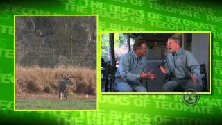 2008 Bucks of Tecomate Episode 6  Hunting Hot Seat [upl. by Warfold944]