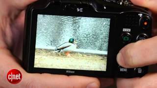 Nikon Coolpix L610 review Betterthanbasic 14x zoom compact [upl. by Orel297]