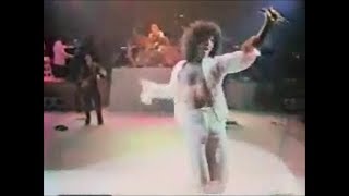 GINO VANNELLI Live  APALOOSA [upl. by Noelc]