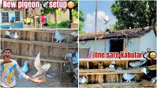 New pigeon 🕊️setup😳  Finally itne sare kabutar🕊️kharidne gye🤩  pigeon [upl. by Gibert]