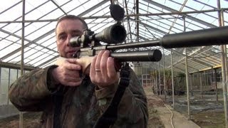 The BSA Ultra SE Accuracy Review with Si Pittaway [upl. by Rotceh]