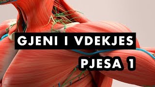 Gjeni i vdekjes  Distrofonia Muskulare  Pjesa 1 Dokumentar Shqip [upl. by Seiuqram]