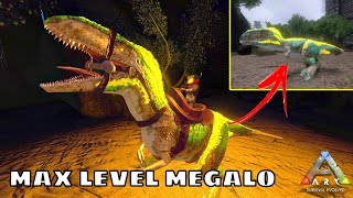 MAX LEVEL MEGALOSAURUS TAMING AND BREEDING ARK SURVIVAL EVOLVED MOBILE [upl. by Nnaeiluj479]