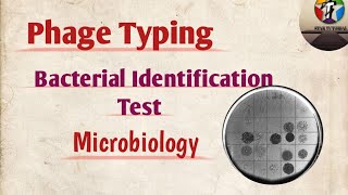 Phage Typing ll Bacterial identification test ll Microbiology [upl. by Gauthier]