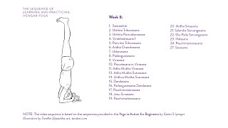 Week 8 Learning and Practicing Iyengar Yoga for Beginners [upl. by Sillert624]