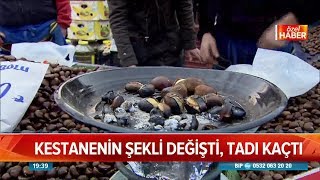 Kestanenin şekli değişti tadı kaçtı  Atv Haber 16 Ocak 2019 [upl. by Antrim542]