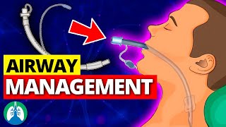 Airway Management OVERVIEW  Artificial Airways  Suctioning  Extubation [upl. by Leimaj201]