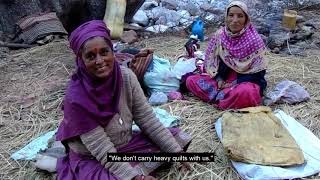 Fading pastoralism in Gaddi tribe of Himachal Pradesh  short film by Ashima Padiyal 2018 [upl. by Niriam]