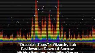 Draculas Tears  Wizardry Lab  Castlevania Dawn of Sorrow [upl. by Brenden745]