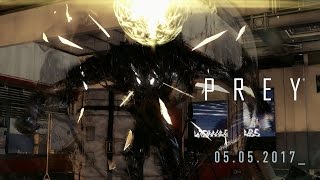 Prey – Typhon Research [upl. by Dickens]