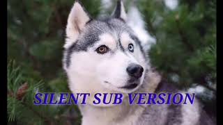 SILENT VERSION heterochromia eyes subliminal one husky blueone brown SILENT VERSION [upl. by Zysk]