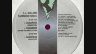 CJ Bolland  Camargue Galaxy Mix [upl. by Haduj]