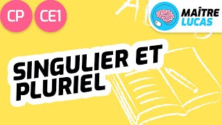 Le singulier et le pluriel CP  CE1  Cycle 2  Français  étude de la langue Lecture [upl. by Salis]