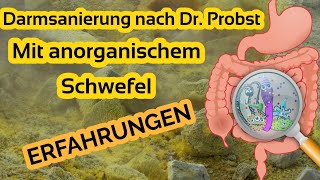 Darmsanierung nach Dr Probst mit anorganischem Schwefel  Erfahrungen [upl. by Varden21]