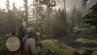 How to get your throwable hatchet back RDR2 [upl. by Terraj957]