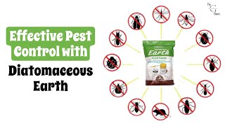 Effective Pest Control with Diatomaceous Earth  Complete Guide amp Tips [upl. by Jollanta]